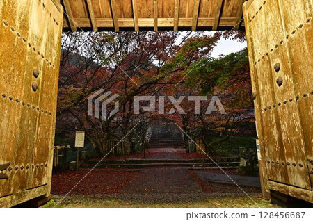 Autumn leaves at Entsuji Temple Autumn leaves at Entsuji Temple 128456687