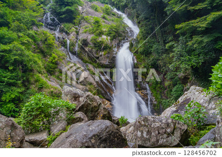 (Karatsu City, Saga Prefecture) Mikaeri Falls surrounded by fresh greenery 128456702