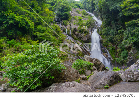 (Karatsu City, Saga Prefecture) Mikaeri Falls surrounded by fresh greenery 128456703