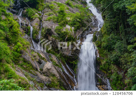 (Karatsu City, Saga Prefecture) Mikaeri Falls surrounded by fresh greenery (Karatsu City, Saga Prefecture) Mikaeri Falls surrounded by fresh greenery 128456706
