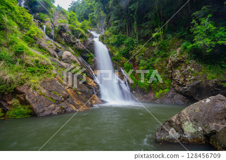 (Karatsu City, Saga Prefecture) Mikaeri Falls surrounded by fresh greenery 128456709