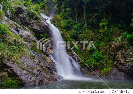 (Karatsu City, Saga Prefecture) Mikaeri Falls surrounded by fresh greenery (Karatsu City, Saga Prefecture) Mikaeri Falls surrounded by fresh greenery 128456712