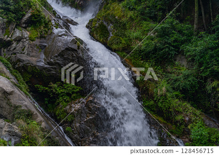 (Karatsu City, Saga Prefecture) Mikaeri Falls surrounded by fresh greenery 128456715