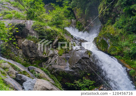 (Karatsu City, Saga Prefecture) Mikaeri Falls surrounded by fresh greenery 128456716