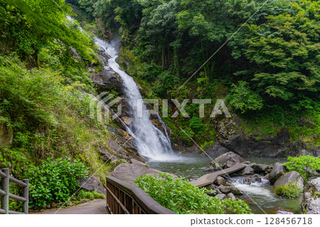 (Karatsu City, Saga Prefecture) Mikaeri Falls surrounded by fresh greenery 128456718