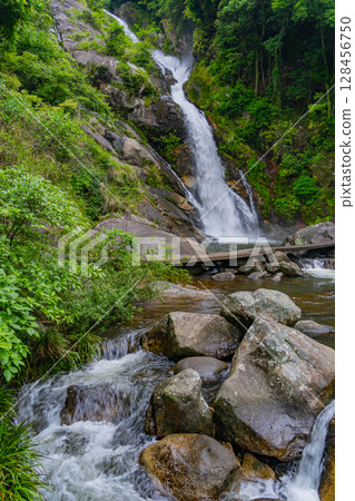 (Karatsu City, Saga Prefecture) Mikaeri Falls surrounded by fresh greenery 128456750