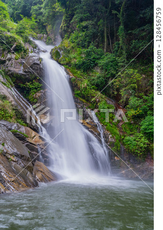 (Karatsu City, Saga Prefecture) Mikaeri Falls surrounded by fresh greenery 128456759