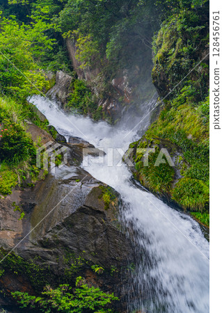 (Karatsu City, Saga Prefecture) Mikaeri Falls surrounded by fresh greenery (Karatsu City, Saga Prefecture) Mikaeri Falls surrounded by fresh greenery 128456761