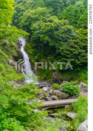 (Karatsu City, Saga Prefecture) Mikaeri Falls surrounded by fresh greenery (Karatsu City, Saga Prefecture) Mikaeri Falls surrounded by fresh greenery 128456763