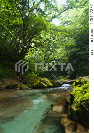 Summer mountain stream Summer mountain stream 128457277