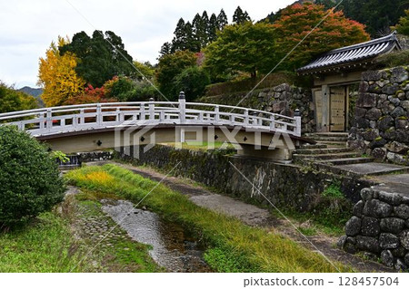 Autumn leaves of Izushi Castle 128457504