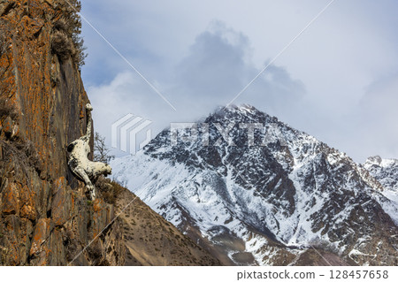 Snow leopard statue climbing rocky cliff in majestic mountains 128457658