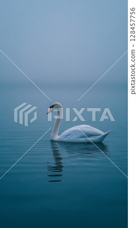 A distant view of a lone swan floating on a vast, calm lake 128457756