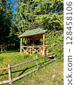 Wooden gazebo in a sunny forest setting 128458106