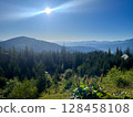 Mountain landscape with forest and sunlit sky. 128458108