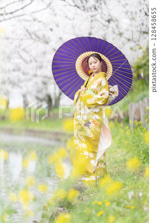 A young woman in a furisode walking through cherry blossoms in full bloom 128458655