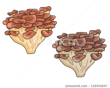 Illustration of Maitake 128458847