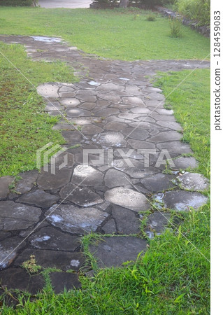 The original landscape of northern Okinawa The original landscape of northern Okinawa 128459083