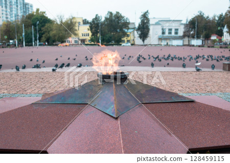 Eternal flame at the memorial with burning flame against the background of the city square. Pigeons sitting on the paving stones in the park. 128459115