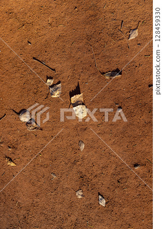 red path and foliage in the autumn , fallen on the path in the park yellow foliage of trees during leaf fall 128459330