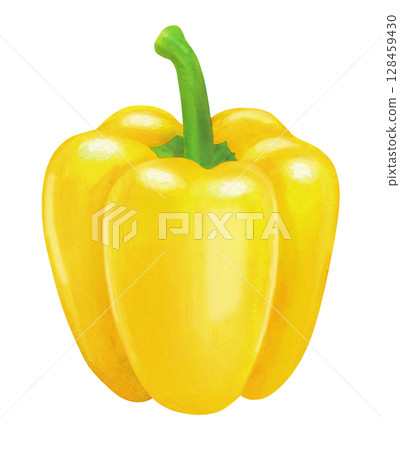 Illustration of yellow paprika Illustration of yellow paprika 128459430