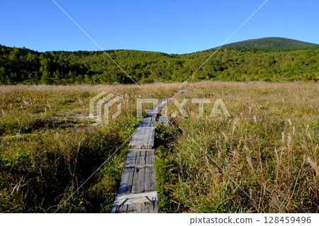 與樹道路的風景 128459496