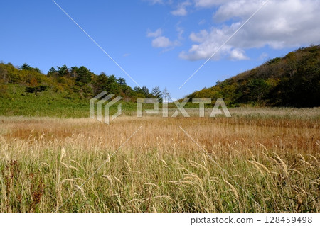 與Susuki的風景 128459498