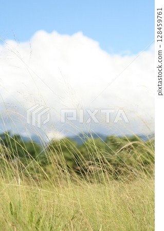 July Scenery July Scenery 128459761