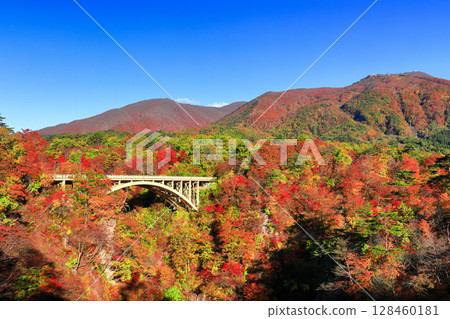 [Miyagi Prefecture] Autumn leaves at Naruko Gorge on a clear day 128460181