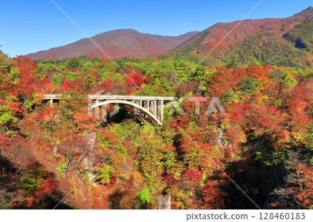 [Miyagi Prefecture] Autumn leaves at Naruko Gorge on a clear day 128460183
