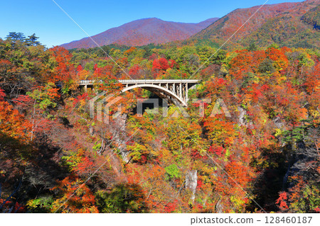 【宮城縣】晴天的鳴子峽紅葉 【宮城縣】晴天的鳴子峽紅葉 128460187