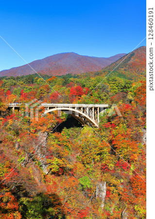 [Miyagi Prefecture] Autumn leaves at Naruko Gorge on a clear day 128460191