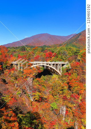 【宮城縣】晴天的鳴子峽紅葉 【宮城縣】晴天的鳴子峽紅葉 128460192