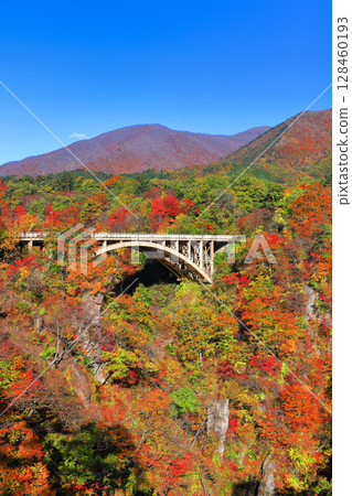[Miyagi Prefecture] Autumn leaves at Naruko Gorge on a clear day 128460193