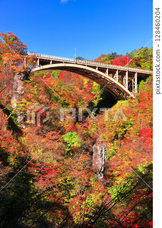 【宮城縣】晴天的鳴子峽紅葉 128460204
