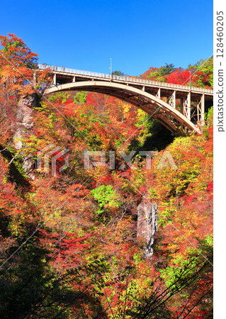 [Miyagi Prefecture] Autumn leaves at Naruko Gorge on a clear day 128460205