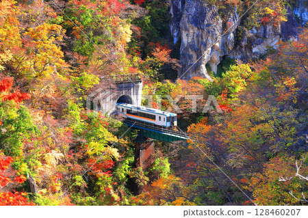 [Miyagi Prefecture] Autumn leaves train crossing Naruko Gorge 128460207