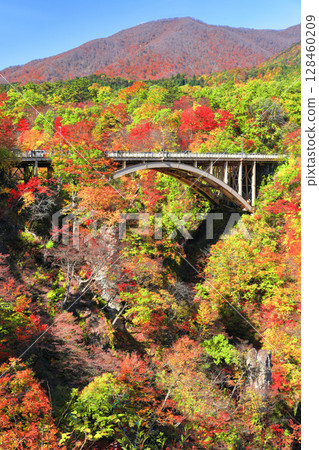 【宮城縣】晴天的鳴子峽紅葉 【宮城縣】晴天的鳴子峽紅葉 128460209