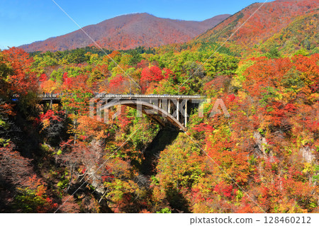 [Miyagi Prefecture] Autumn leaves at Naruko Gorge on a clear day 128460212