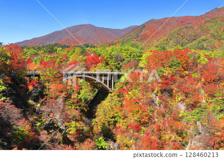 [Miyagi Prefecture] Autumn leaves at Naruko Gorge on a clear day 128460213