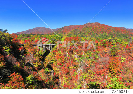 [Miyagi Prefecture] Autumn leaves at Naruko Gorge on a clear day 128460214