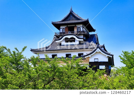 [愛知縣]新鮮的綠色犬山城城堡塔樓 128460217