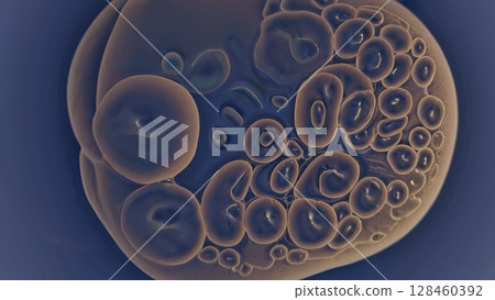 Organic cells are multiplying and dividing, creating new life through a complex biological process, showcasing the wonders of nature at a microscopic level 128460392