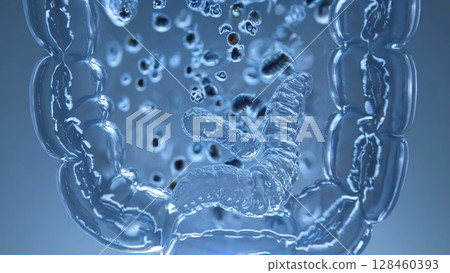 Transparent human intestine progressively filling with multiplying bacteria, visualizing intricate microbiome colonization process through detailed scientific simulation 128460393