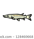 Simple bluntnose gar illustration 128460668