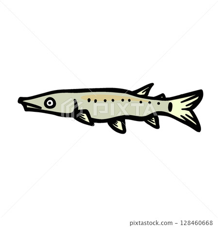 Simple bluntnose gar illustration 128460668
