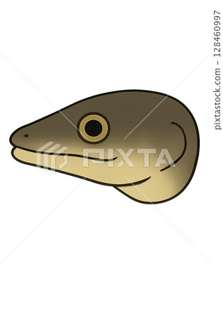 Eel face illustration 128460997