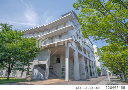 BCS Award Winner, Kavli Institute for the Physics and Mathematics of the Universe, University of Tokyo 128462466