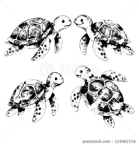 Black and white hand-drawn sea turtles vector illustration with grunge texture. Monochrome vector design perfect for stickers, prints, tattoos, kids deco 128462516