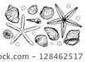 A set of detailed black and white vector illustrations. Various seashells, two starfish and small bubbles. This marine themed collection ideal for ocean art or nautical design projects. 128462517